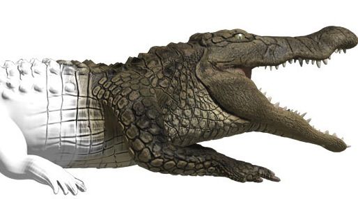 EEN KROKODIL BOUWEN