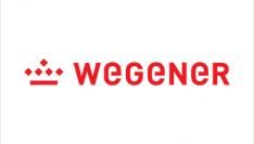 En alweer een krant in problemen