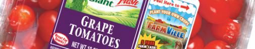 FarmVille maakt offline crossover