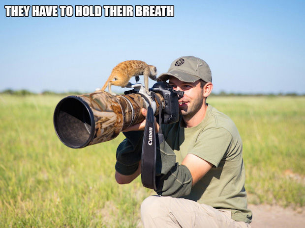 fotograaf_8