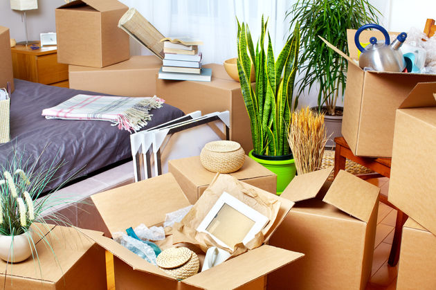 Fotolia_94081312_Subscription_Monthly_M