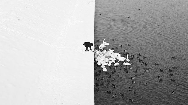 geen-photoshop-8