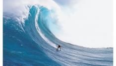 Golf gebruikers Google Wave in September
