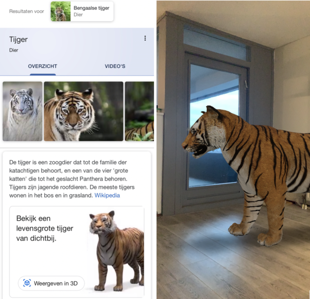 Google 3D dieren tijger