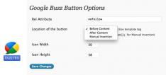 Google Buzz plugins voor Wordpress