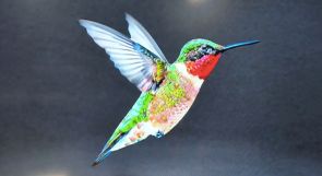 Google zet een hele nieuwe motor in zijn Search Engine: "Hummingbird"