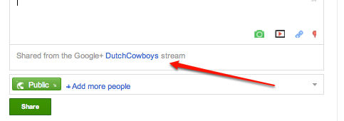 googleplussearch