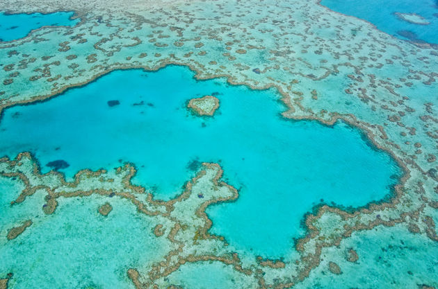 great-barrier-reef-bovenaf