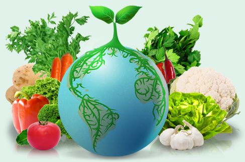 Grow the Planet: je eigen online moestuin