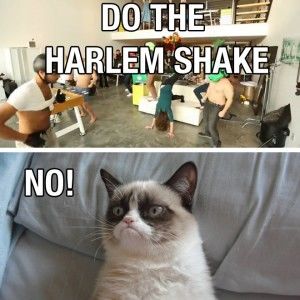 Hoe Gangnam Style en Harlem Shake wereldwijd bekend werden [Infographic]