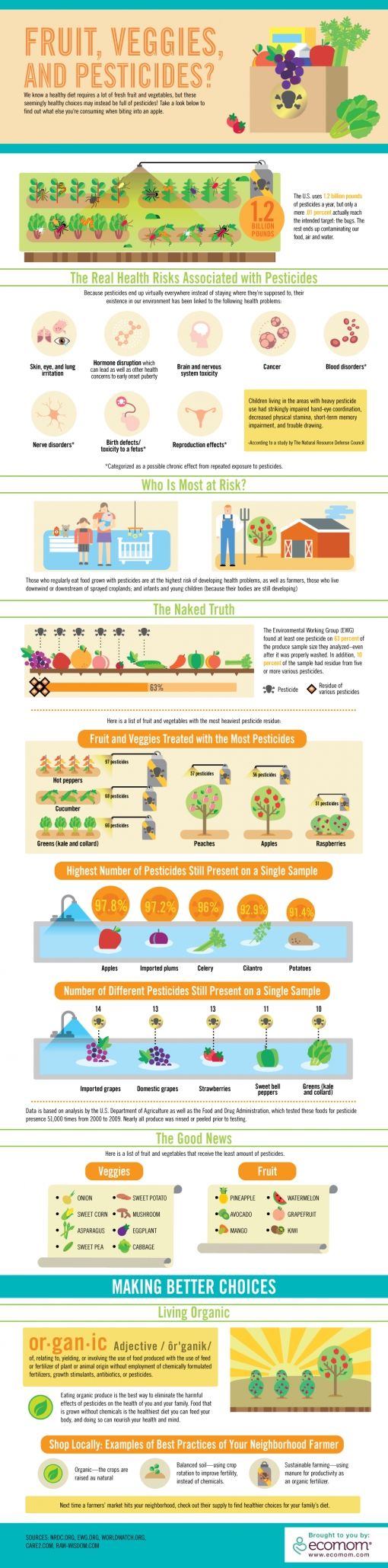 Infographic-Pesticides2