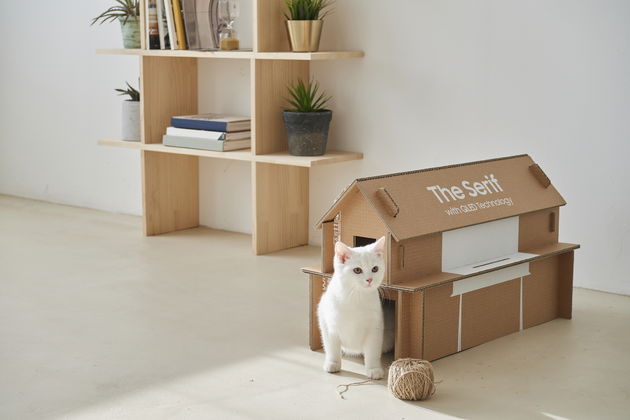 Kattenhuisje van tv-dozen