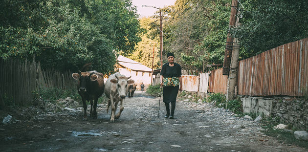 locals-georgia