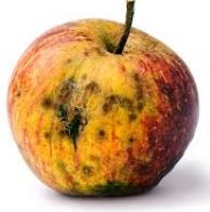 Massa ontslag bij Apple