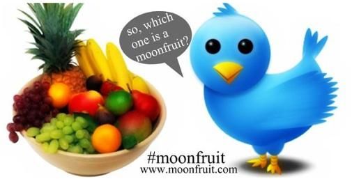 Moonfruit : Twitterlesje voor marketeers