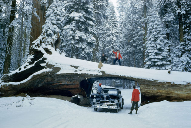 national-geographic-12