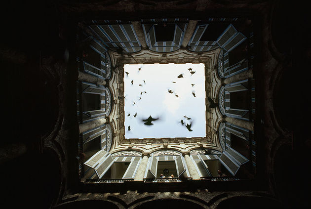 national-geographic-14