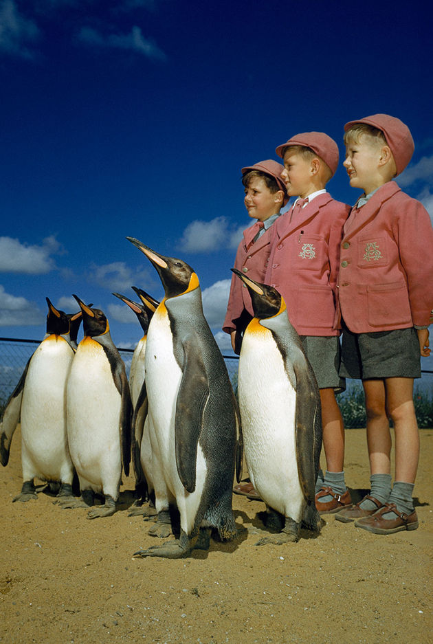national-geographic-20