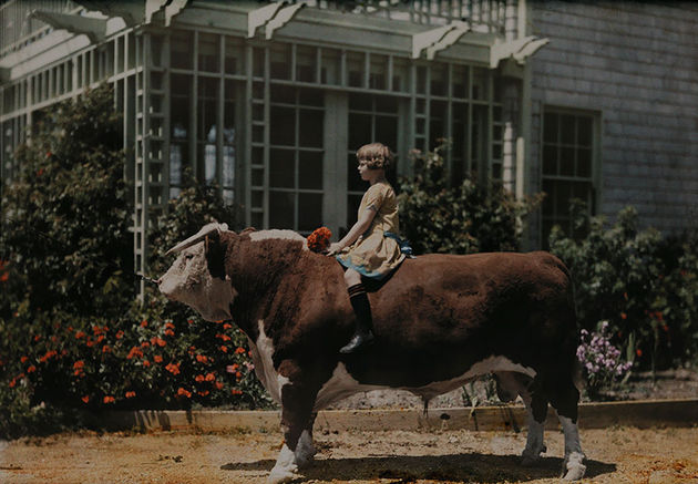 national-geographic-24