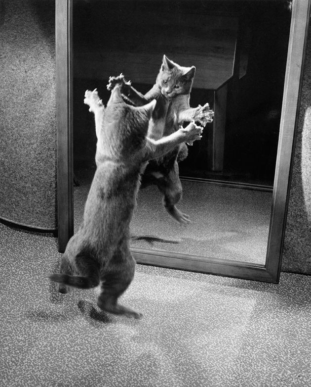 national-geographic-7