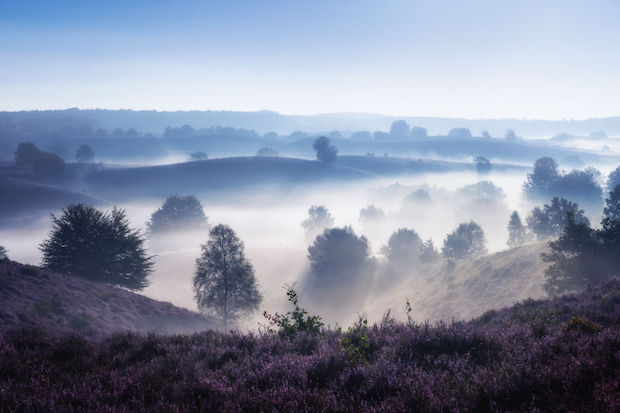 nederland_3