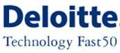 Nederlandse bedrijven in de top van Deloitte Technology Fast500