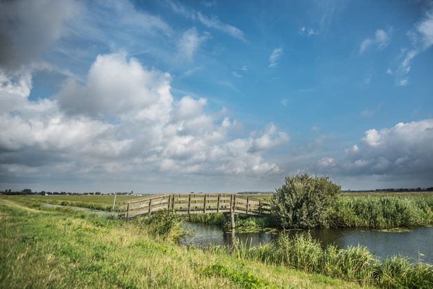 netherlands-green