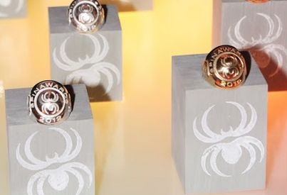 Nominaties SpinAwards 2014 bekend