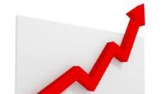 Online mediabestedingen ondanks recessie verder gegroeid in 2009