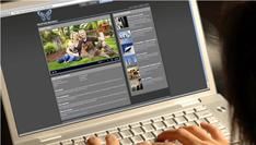 Online video in de USA groeit met 45% in januari 2011