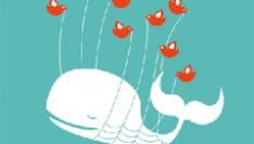 Over Twitterkritiek, Wisdom of Crowds en de technology hype cycle