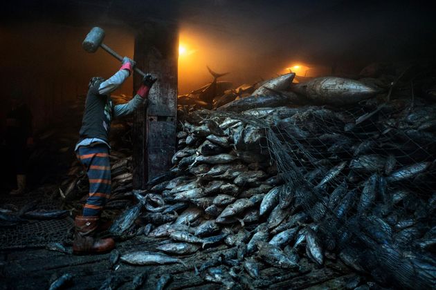 overfishing-south-china-sea.adapt.1900.1