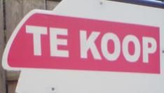 Palm staat te koop
