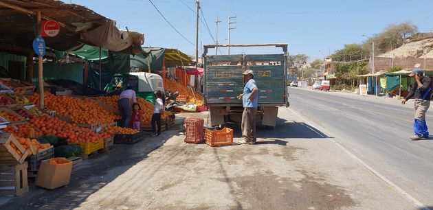Panamericana_Mini_peru_03_palpa