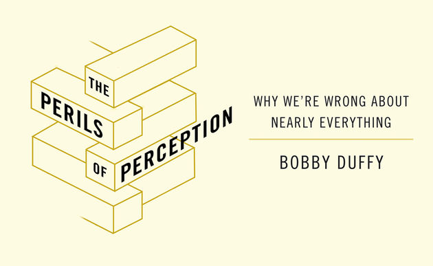 Perils of Perception