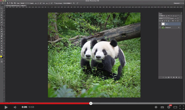 Photoshop tutorials van het Wereld Natuur Fonds