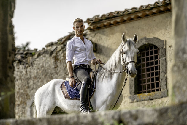 Prince Charming Videoland