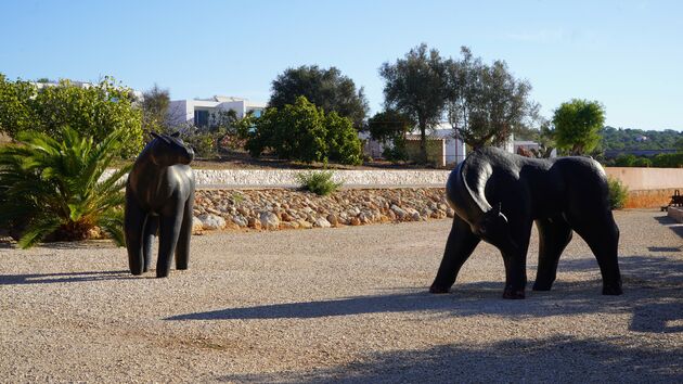 Quinta_dos_Vales_Algarve