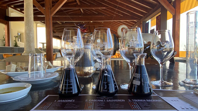 Quinta_dos_Vales_Bottle_Blending_Workshop