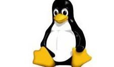 Smartphone-markt aandeel van Linux groeit uit naar 33%