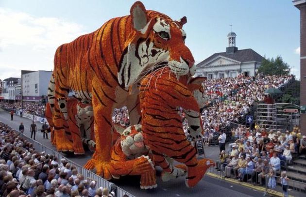 Sociale-mediahype bloemencorso Zundert bereikt climax