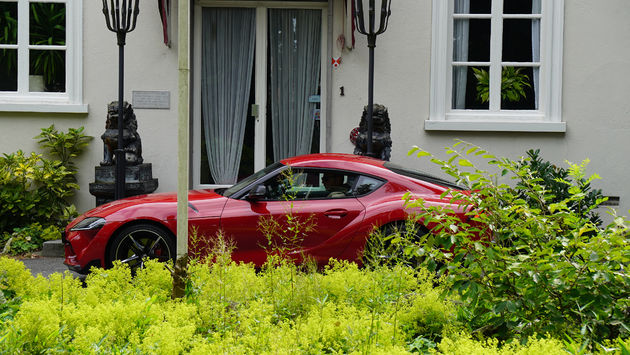 supra-chinees