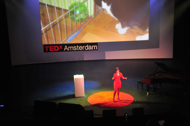 Tinkebell op TEDx: ‘Niets is wat het lijkt’
