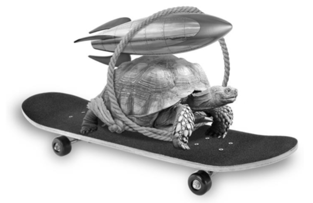turtle