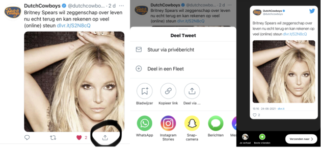 Tweet delen in stories