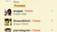 Twitter Promoted Accounts