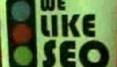 Video: geen D-I-S-C-O, maar We Like SEO!