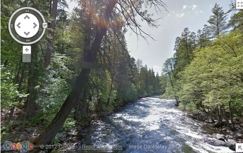 Wandelen door het bos met Google's Street View
