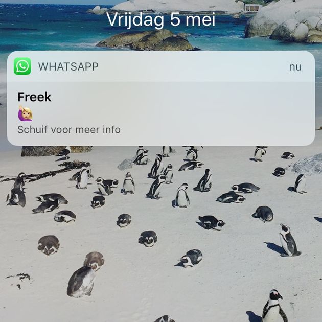whatsapp-1