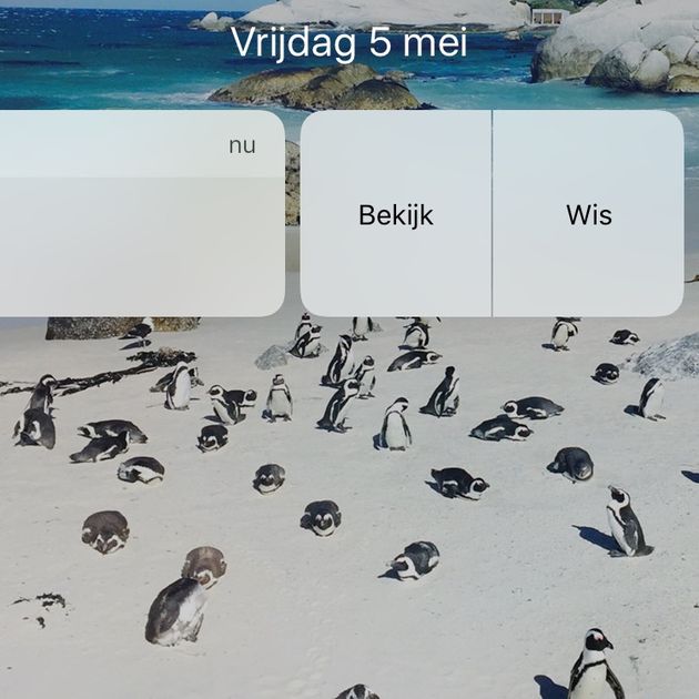 whatsapp-2